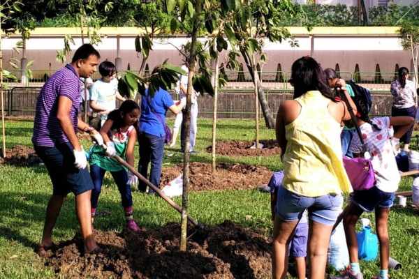 Play your part in fighting climate change with the help of TreesSG.